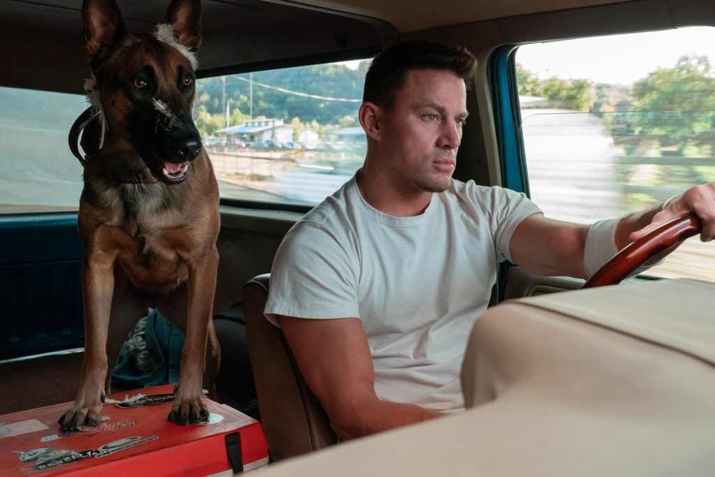 Channing Tatum dog prime