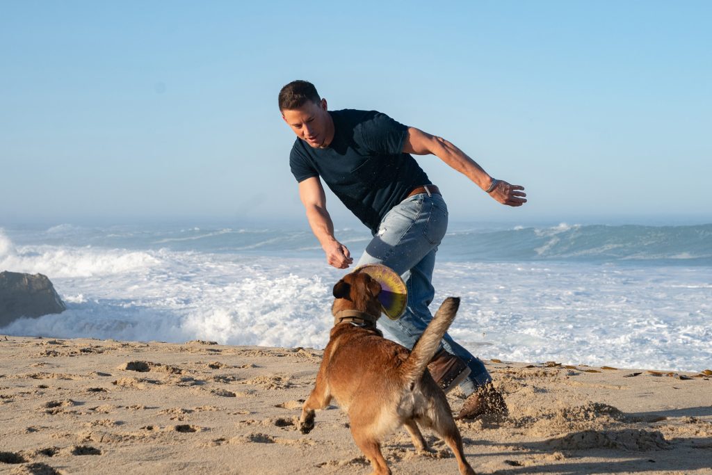 Channing Tatum Dog preview