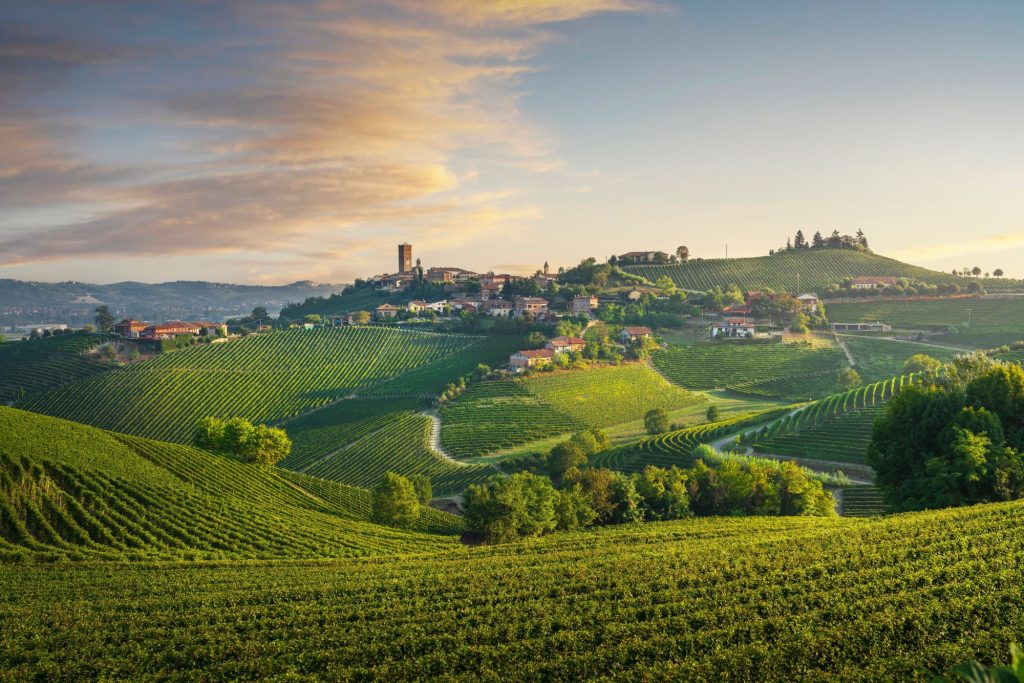 Viaggio nelle Langhe tra vino e territorio - MANINTOWN